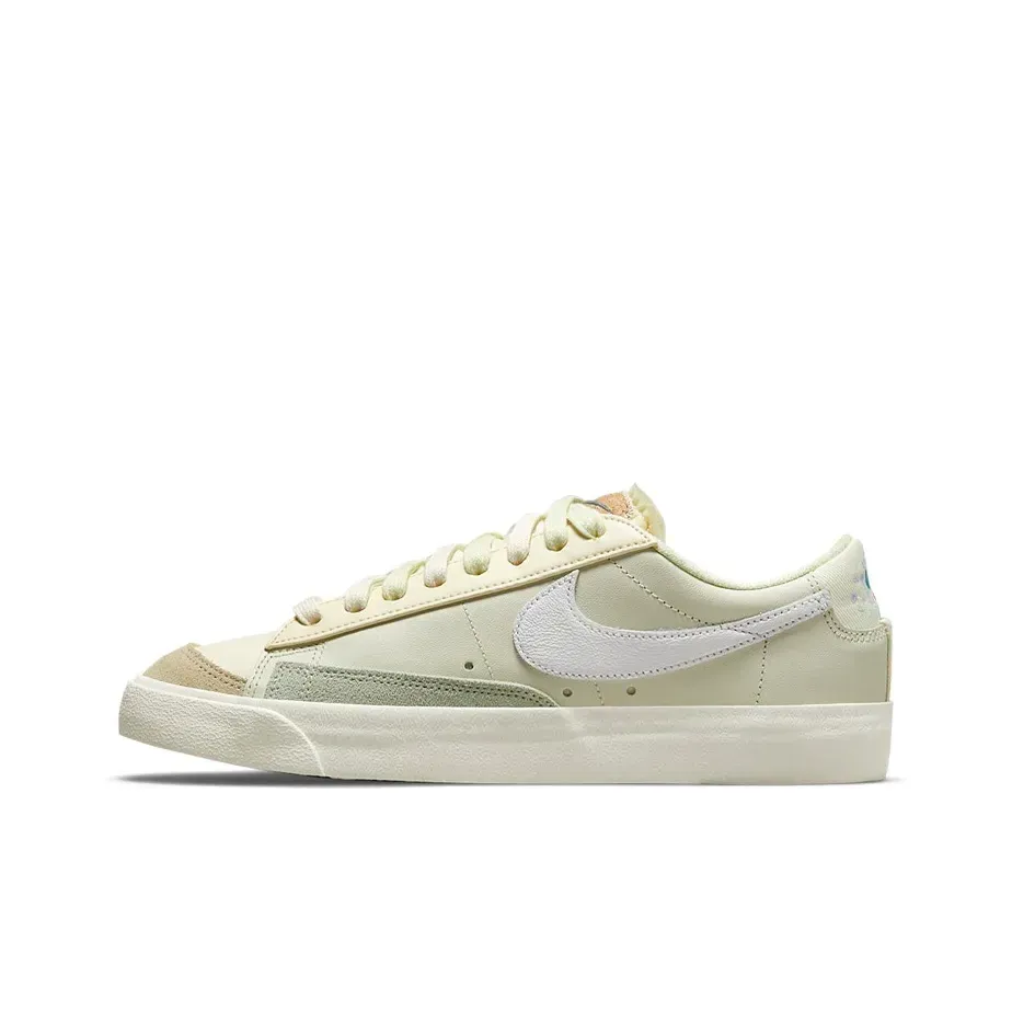 Nike Blazer Skateboard Low Women's Sneakers